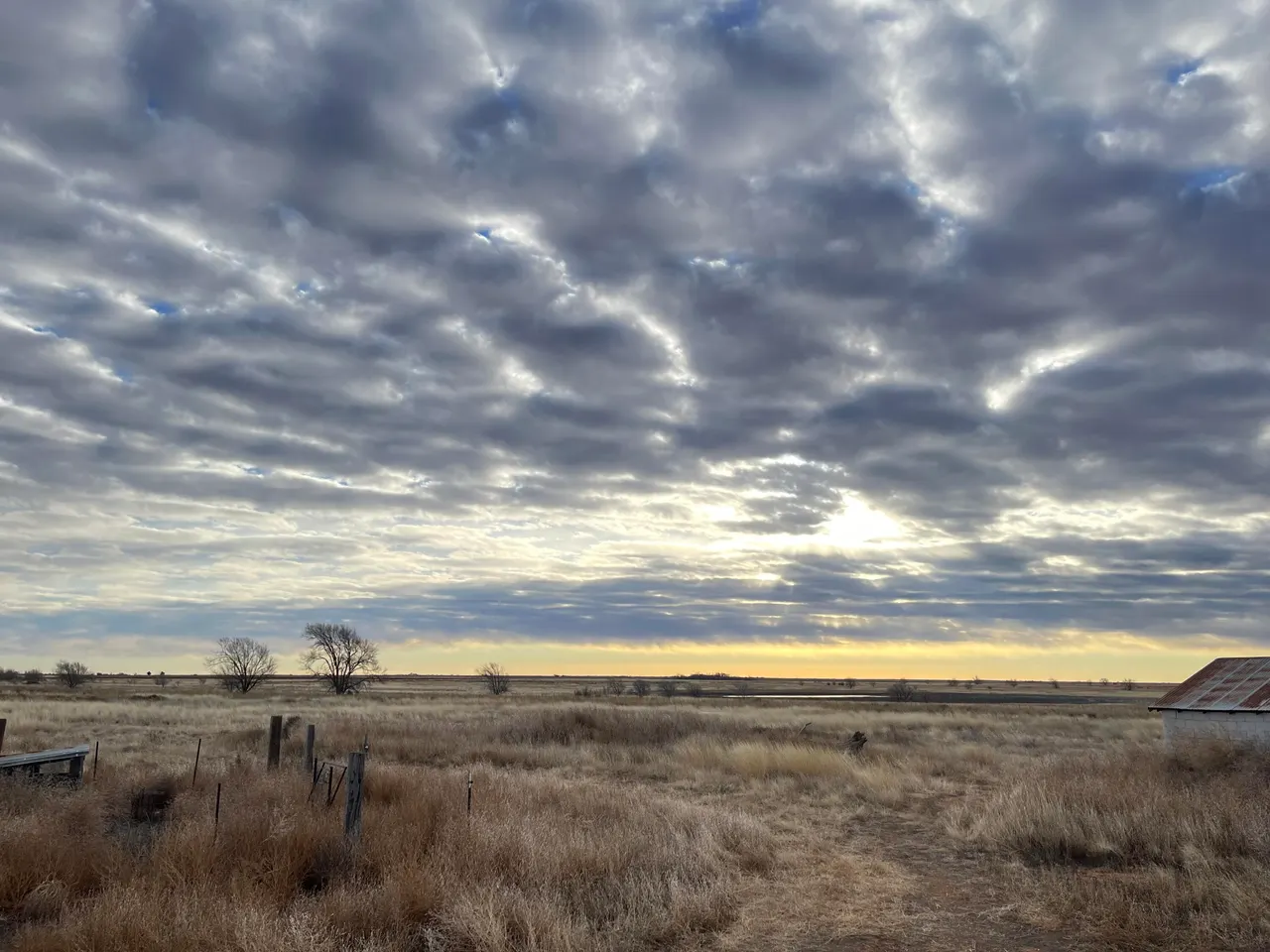 Photo 16 — 3349 County Road 171, Littlefield, TX 79339