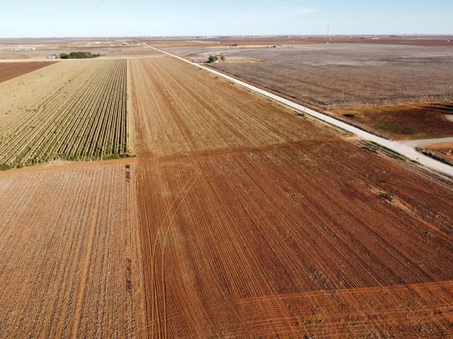 Photo 2 — 6665 Tiger Road, Ropesville, TX 79358