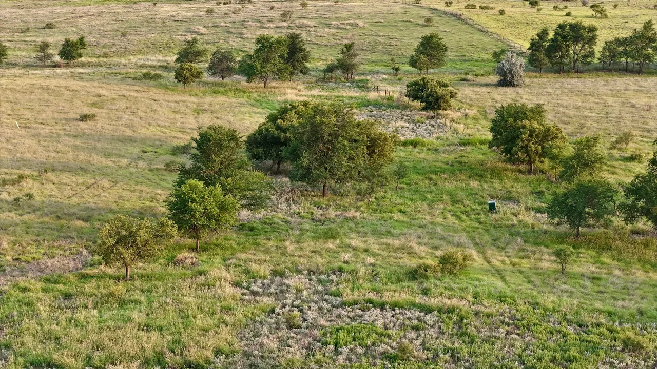 Photo 22 — 6761 County Road 11, Shamrock, TX 79079