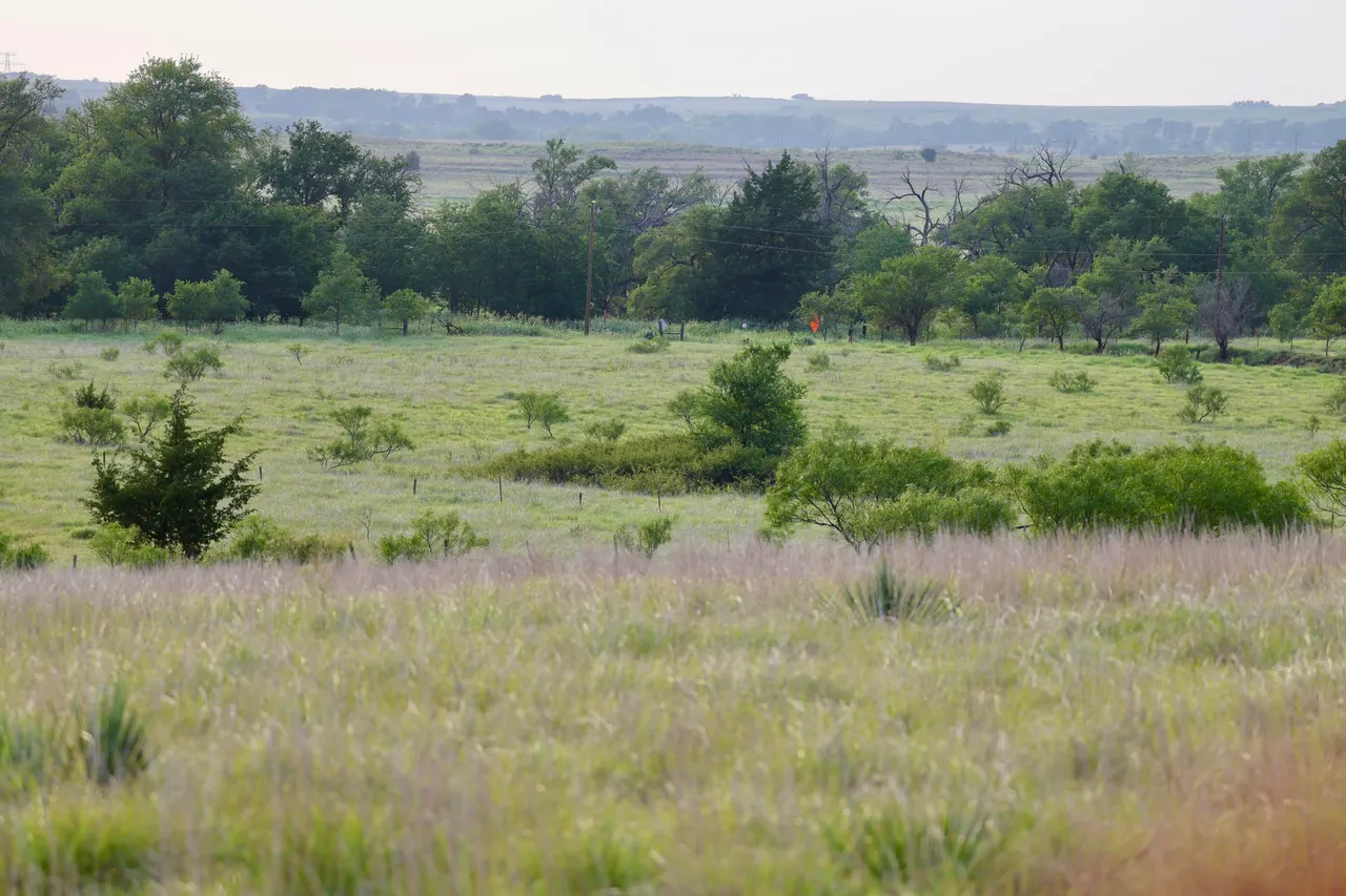 Photo 44 — 6761 County Road 11, Shamrock, TX 79079