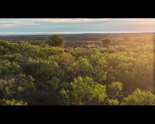 Photo 8 — 186 County Road, Cee Vee, TX 79223