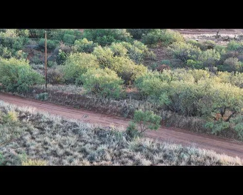 Photo 10 — 186 County Road, Cee Vee, TX 79223
