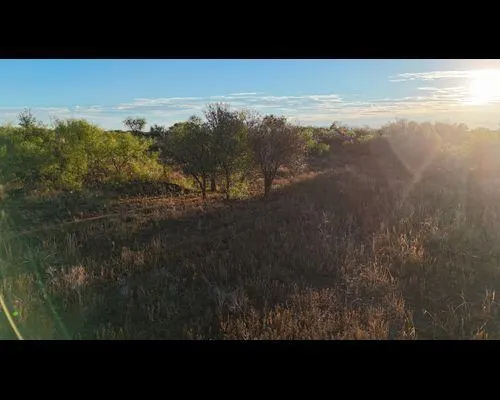 Photo 14 — 186 County Road, Cee Vee, TX 79223