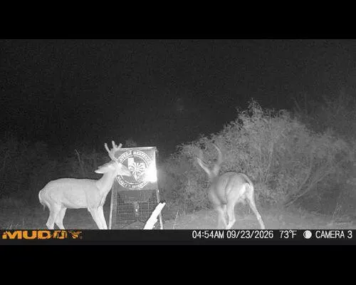 Photo 19 — 186 County Road, Cee Vee, TX 79223