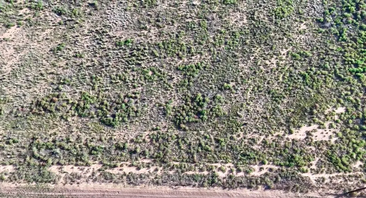 Photo 3 — 11615 County Road 5100, Shallowater, TX 79363