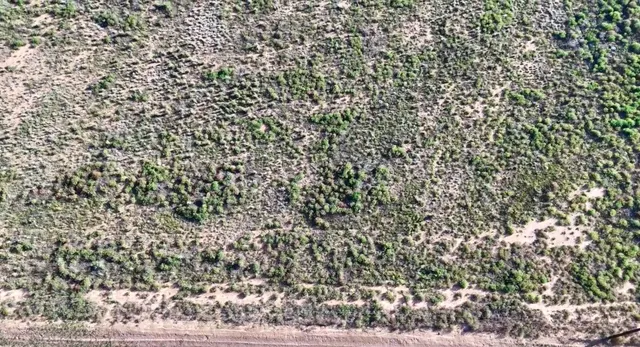 Photo 3 — 11615 County Road 5100, Shallowater, TX 79363