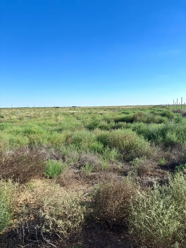 Photo 4 — 11615 County Road 5100, Shallowater, TX 79363