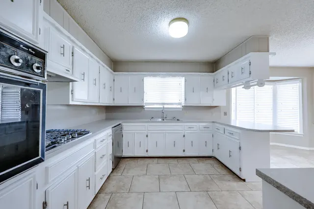 Photo 8 — 225 N Terry Drive, Slaton, TX 79364