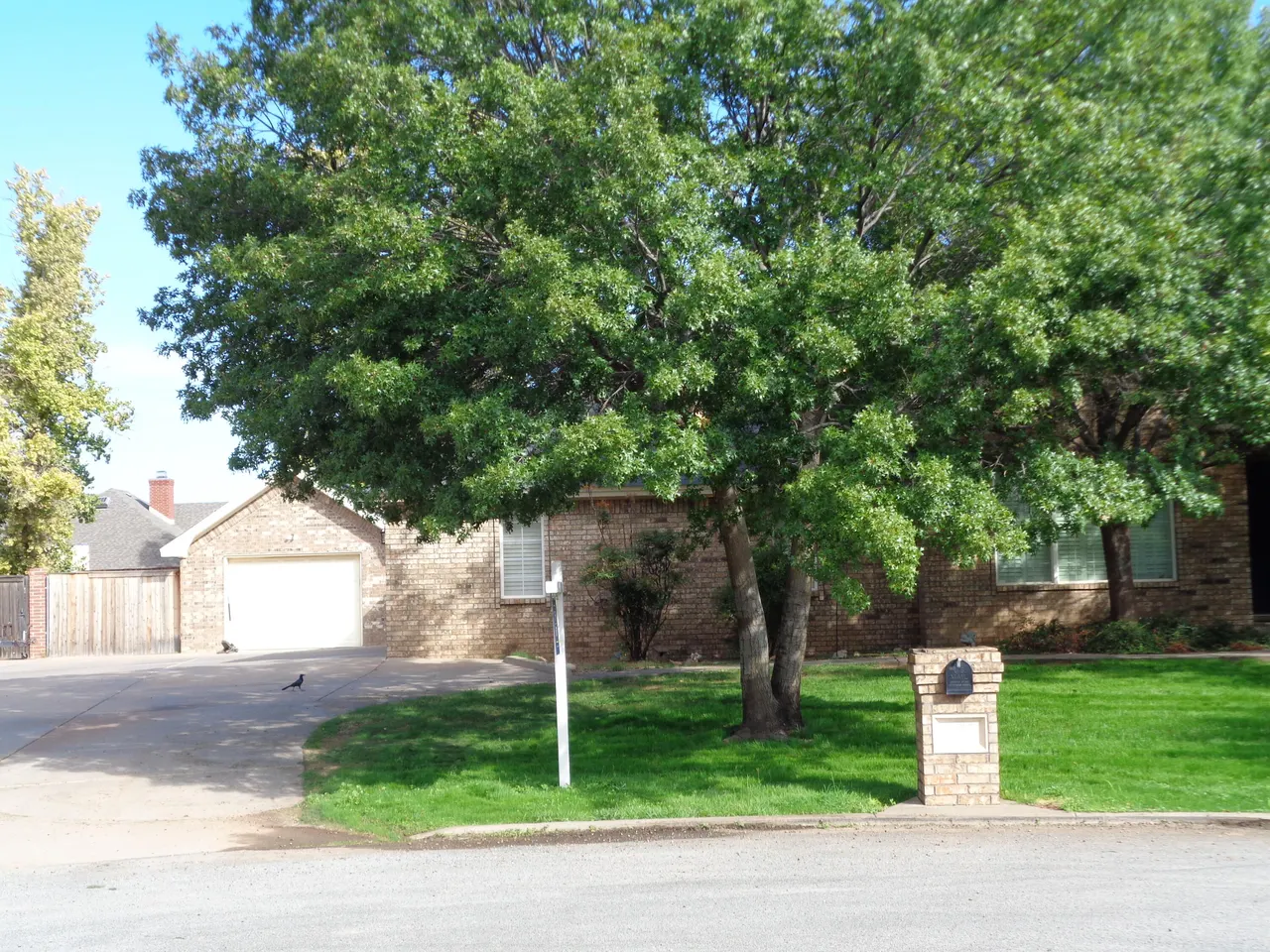 Photo 4 — 8302 CR 6915, Lubbock, TX 79407