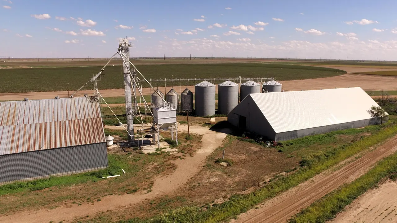 Photo 17 — 194 Farm To Market Road 784, Floydada, TX 79235