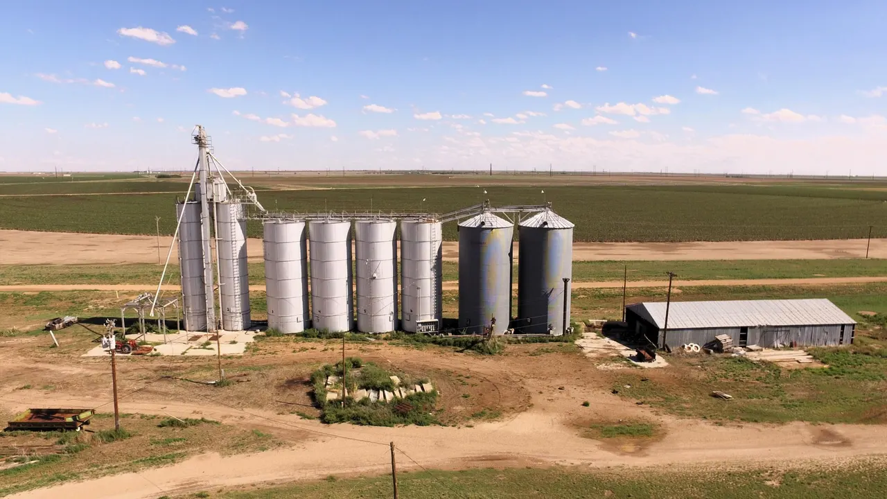 Photo 37 — 194 Farm To Market Road 784, Floydada, TX 79235