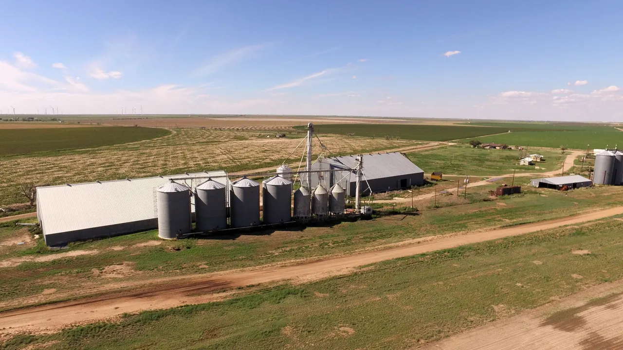 Photo 43 — 194 Farm To Market Road 784, Floydada, TX 79235