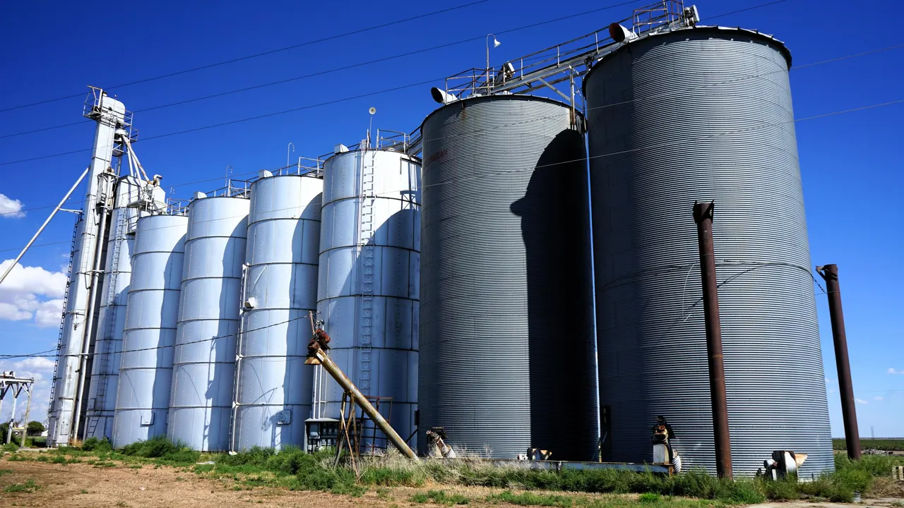 Photo 49 — 194 Farm To Market Road 784, Floydada, TX 79235