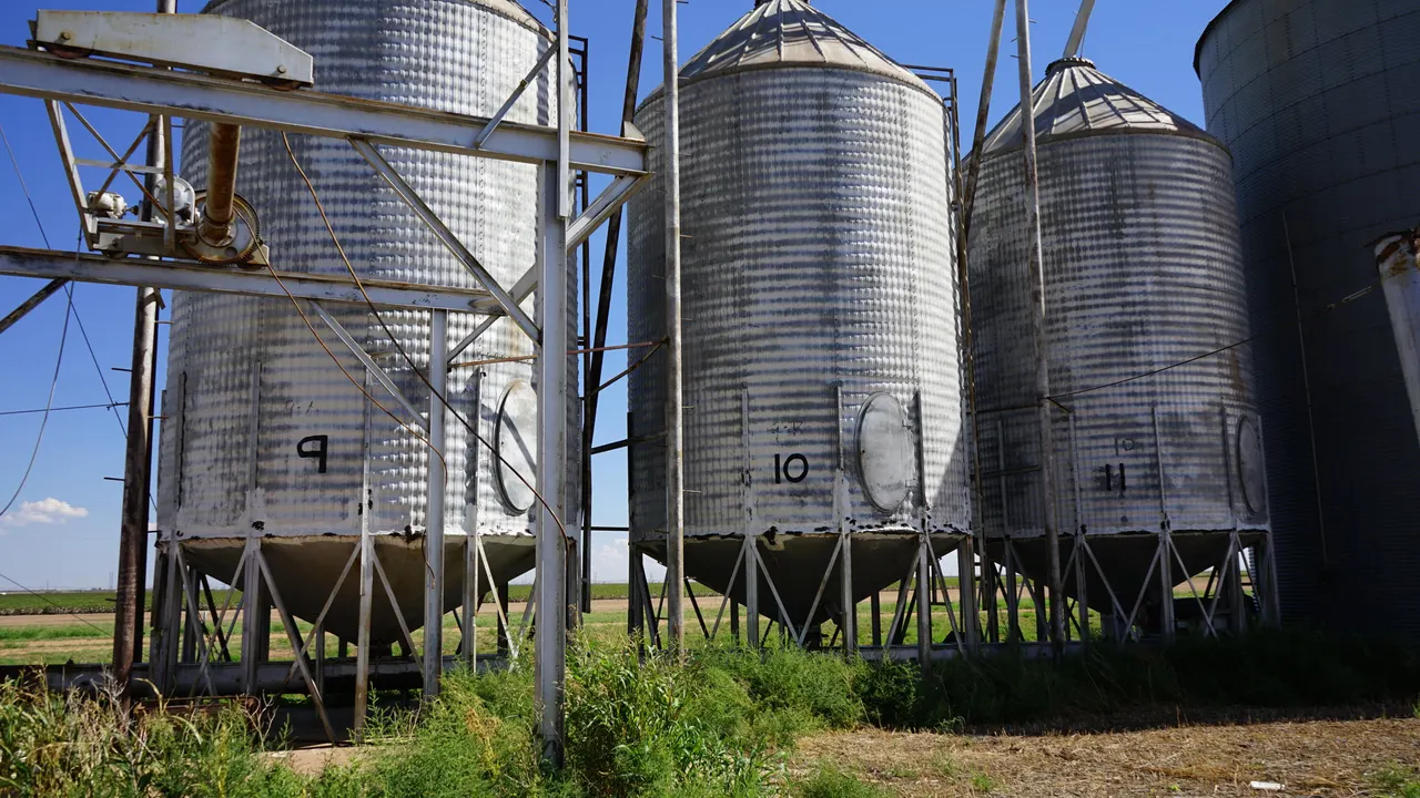 Photo 59 — 194 Farm To Market Road 784, Floydada, TX 79235