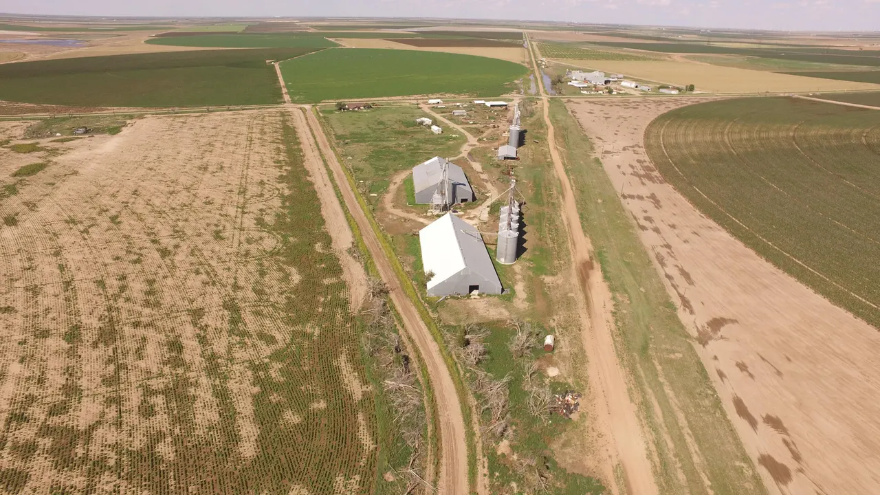 Photo 64 — 194 Farm To Market Road 784, Floydada, TX 79235