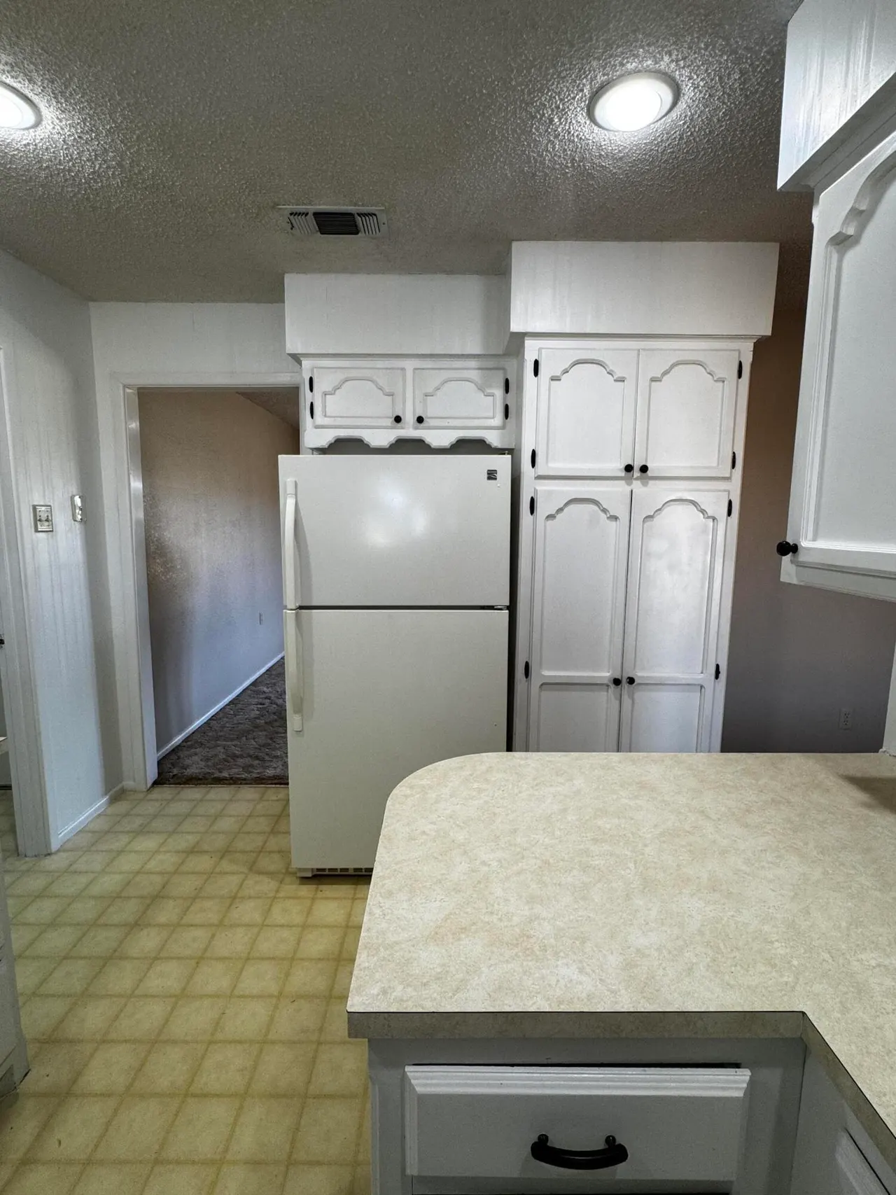 Photo 8 — 17917 County Road 2130, Lubbock, TX 79423