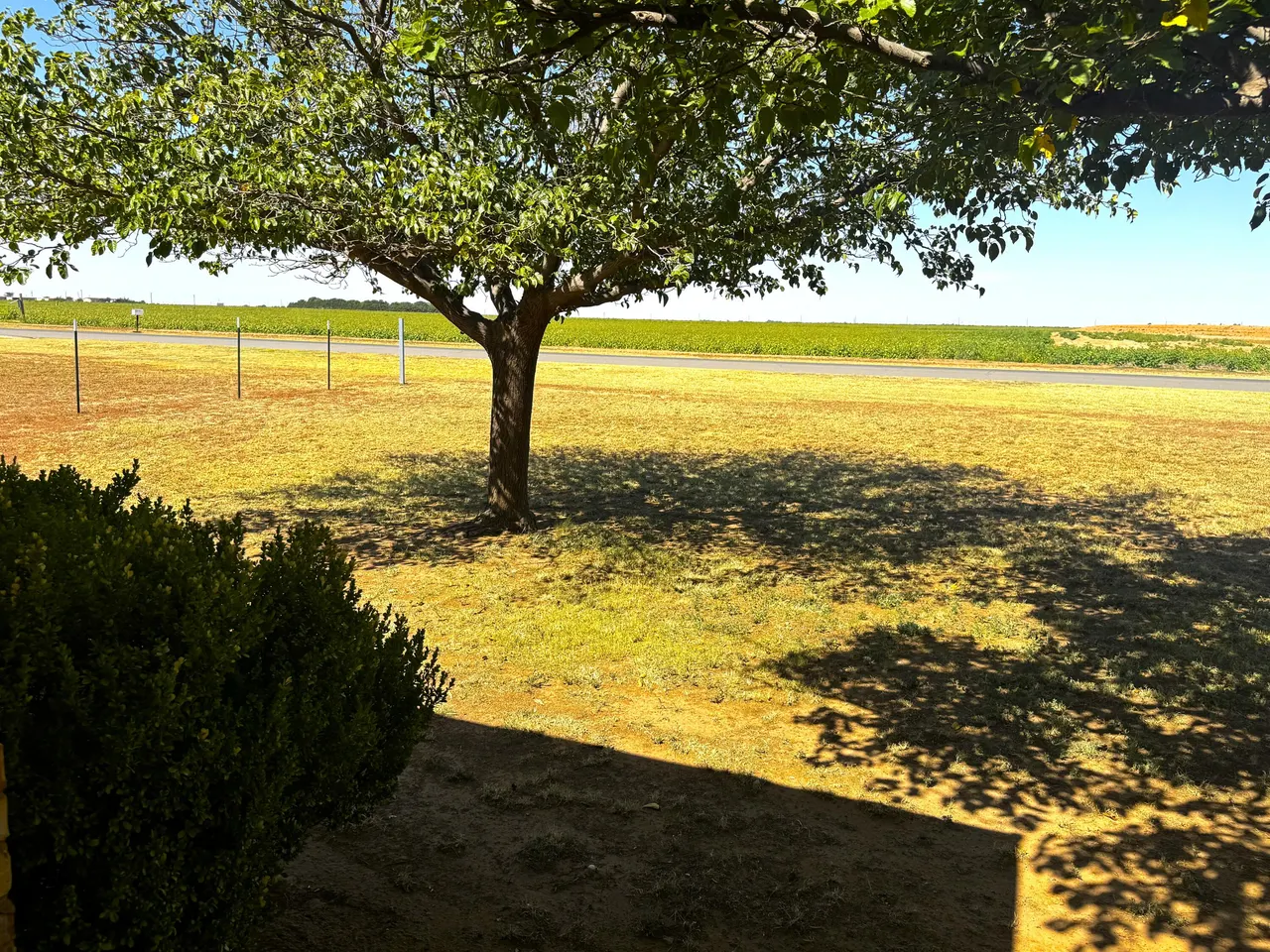 Photo 16 — 17917 County Road 2130, Lubbock, TX 79423