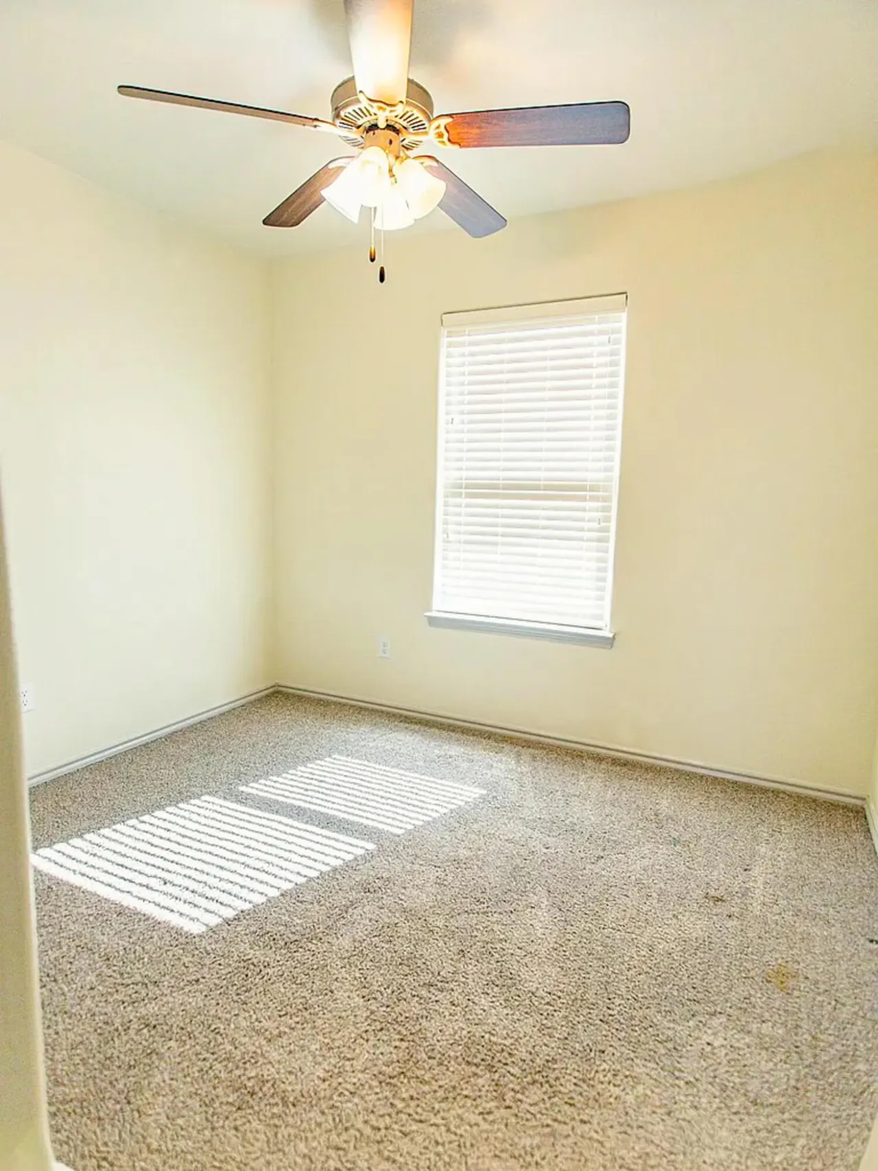 Photo 10 — 1220 Kingston Street, Wolfforth, TX 79382