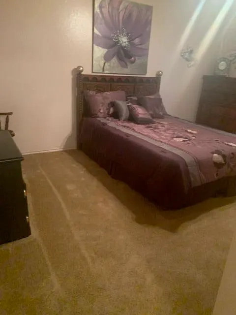 Photo 19 — 1001 Shady Oaks Lane, Brownfield, TX 79316
