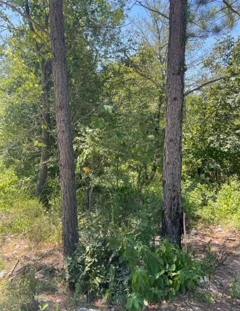Photo 2 — 162 Top Notch Lane, Broken Bow, OK 74728