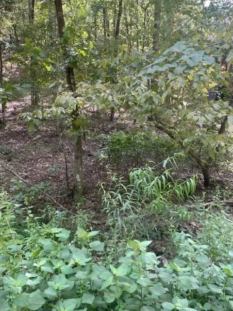 Photo 4 — 158 WESTERN MAPLE Trail, Broken Bow, OK 74728