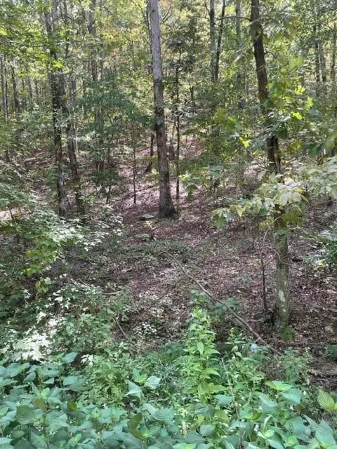 Photo 3 — 158 WESTERN MAPLE Trail, Broken Bow, OK 74728