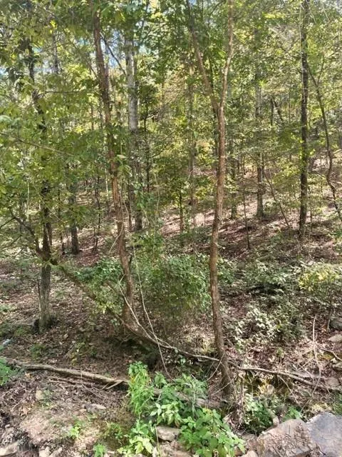 Photo 6 — 158 WESTERN MAPLE Trail, Broken Bow, OK 74728