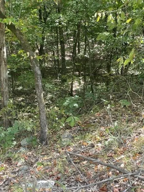 Photo 5 — 158 WESTERN MAPLE Trail, Broken Bow, OK 74728