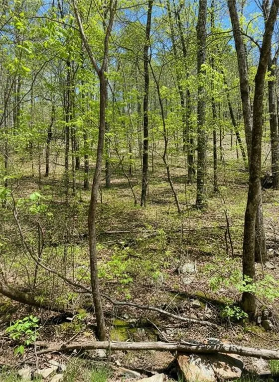 Photo 2 — 158 WESTERN MAPLE Trail, Broken Bow, OK 74728