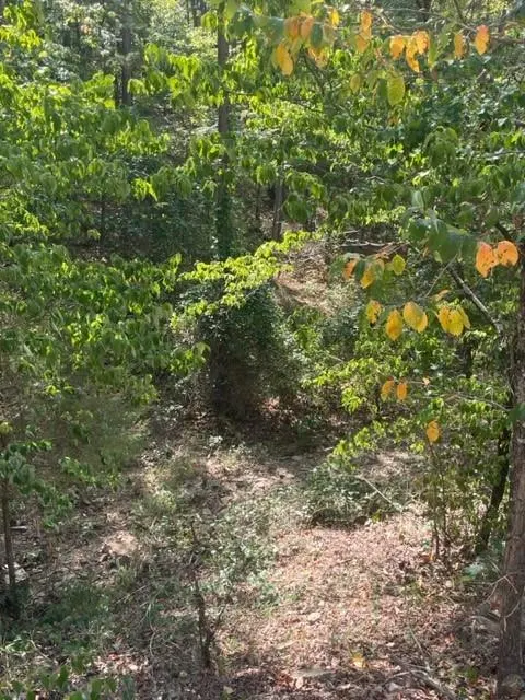 Photo 6 — 132 Western CEDAR Trail, Broken Bow, OK 74728