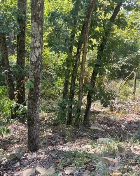Photo 3 — 132 Western CEDAR Trail, Broken Bow, OK 74728