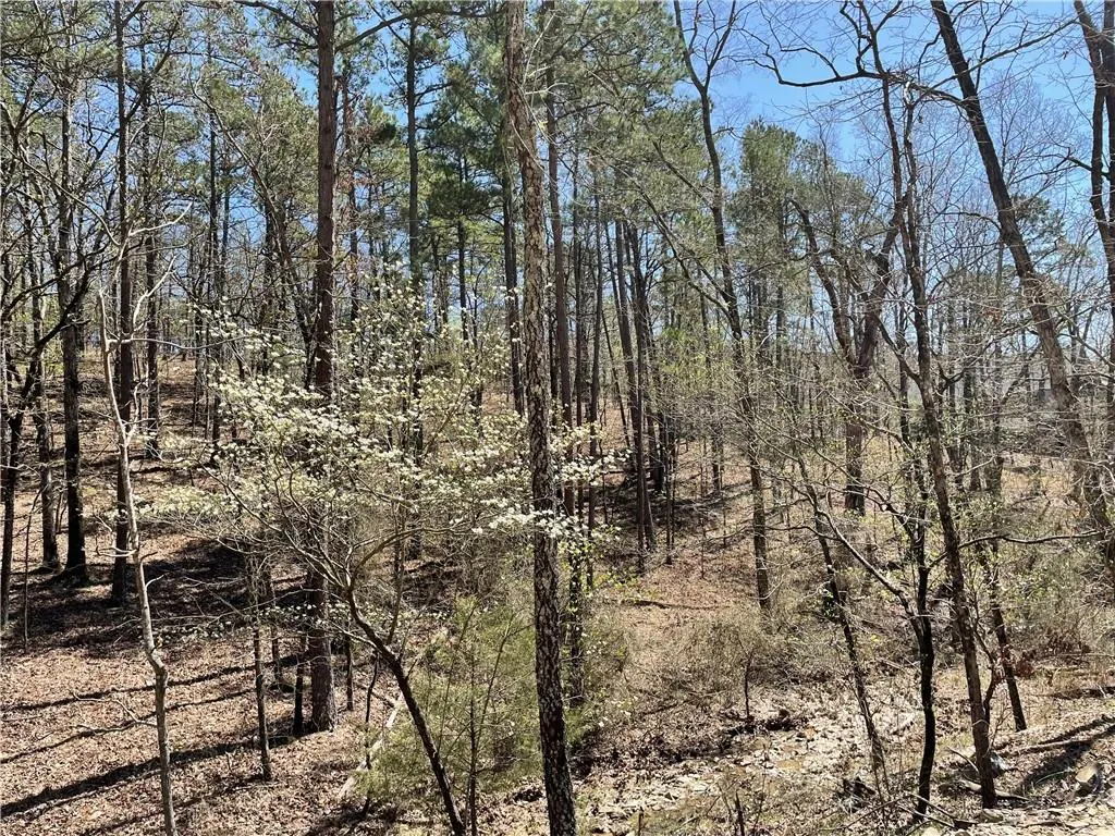 Photo 8 — 132 Western CEDAR Trail, Broken Bow, OK 74728