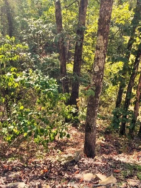 Photo 5 — 132 Western CEDAR Trail, Broken Bow, OK 74728