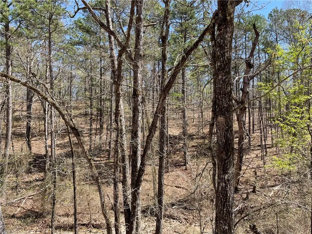 Photo 7 — 132 Western CEDAR Trail, Broken Bow, OK 74728