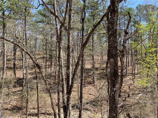 Photo 7 — 132 Western CEDAR Trail, Broken Bow, OK 74728