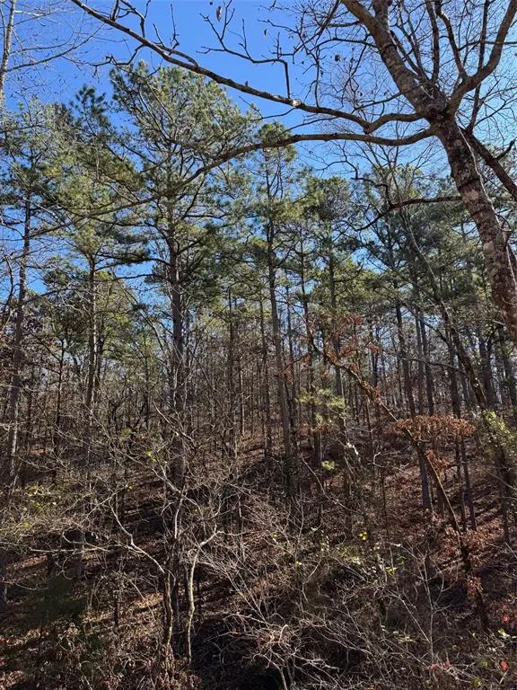 Photo 9 — 132 Western CEDAR Trail, Broken Bow, OK 74728