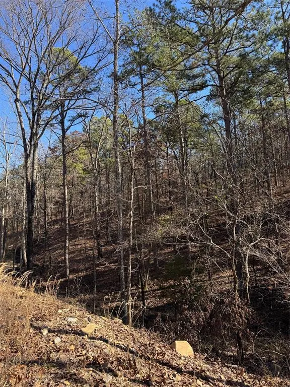 Photo 10 — 132 Western CEDAR Trail, Broken Bow, OK 74728
