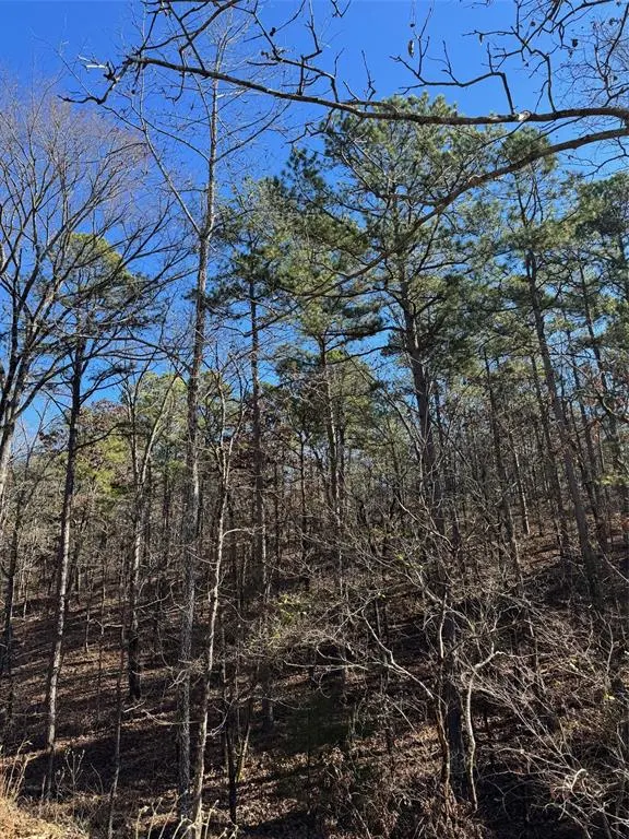 Photo 11 — 132 Western CEDAR Trail, Broken Bow, OK 74728