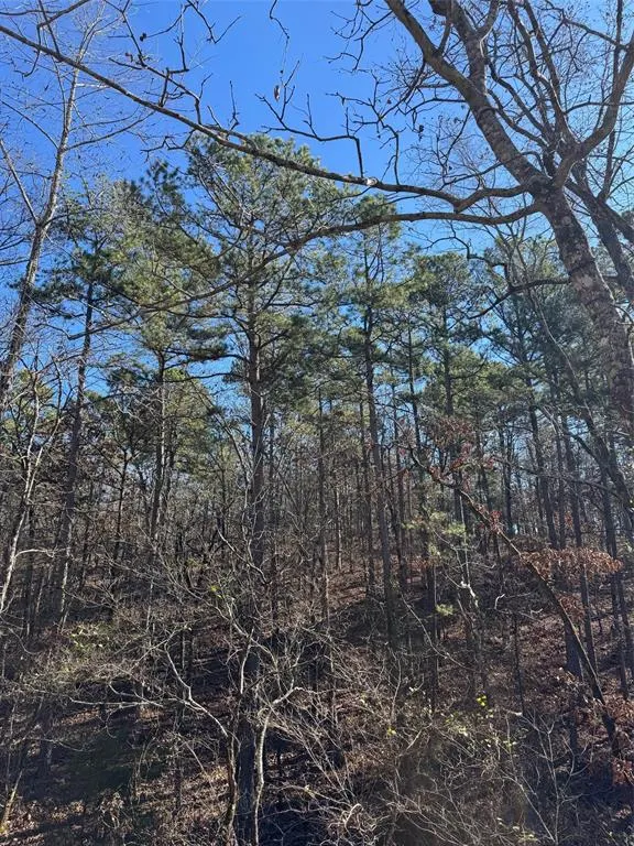 Photo 12 — 132 Western CEDAR Trail, Broken Bow, OK 74728