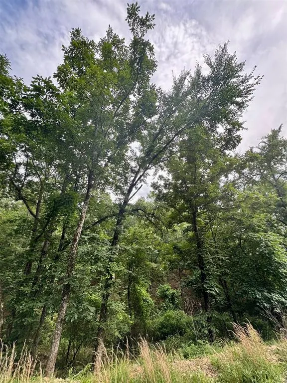 Photo 14 — 132 Western CEDAR Trail, Broken Bow, OK 74728