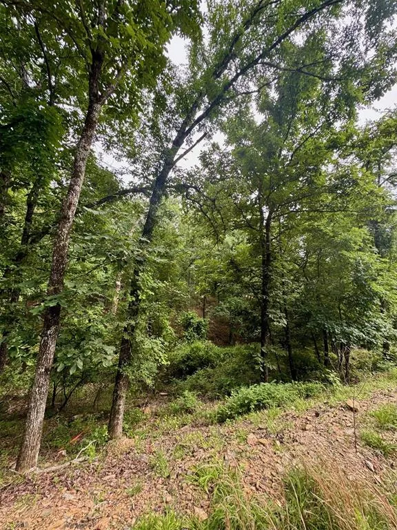 Photo 15 — 132 Western CEDAR Trail, Broken Bow, OK 74728