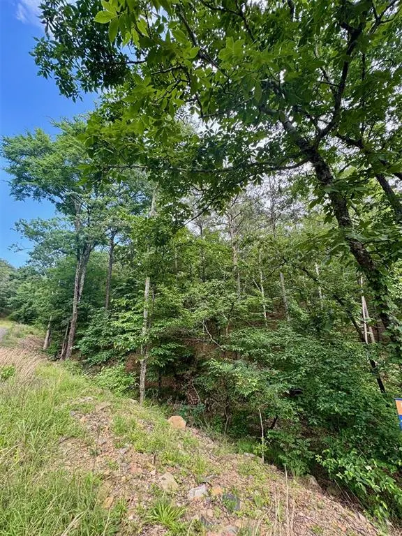 Photo 16 — 132 Western CEDAR Trail, Broken Bow, OK 74728