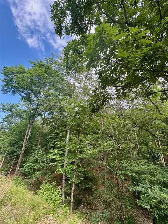 Photo 17 — 132 Western CEDAR Trail, Broken Bow, OK 74728