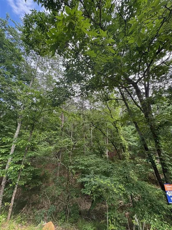 Photo 18 — 132 Western CEDAR Trail, Broken Bow, OK 74728