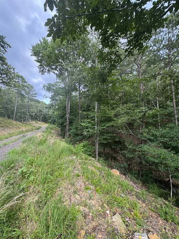 Photo 4 — 132 Western CEDAR Trail, Broken Bow, OK 74728