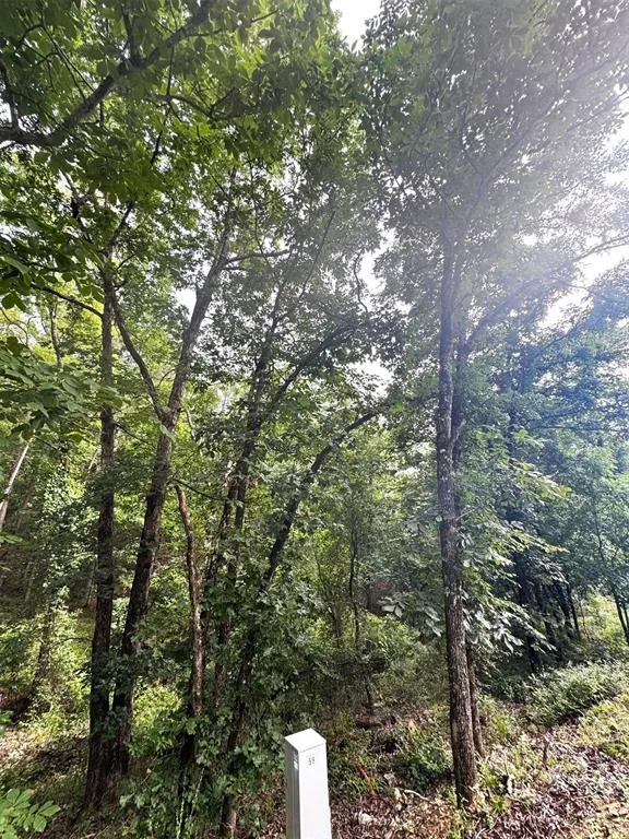 Photo 2 — 132 Western CEDAR Trail, Broken Bow, OK 74728