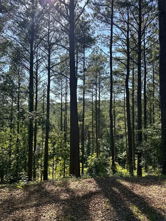 Photo 22 — 143 Gnarly Maple Trail, Broken Bow, OK 74728