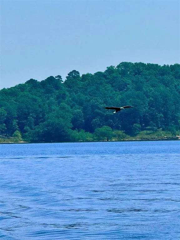 Photo 2 — 214 Top Notch Lane, Broken Bow, OK 74728