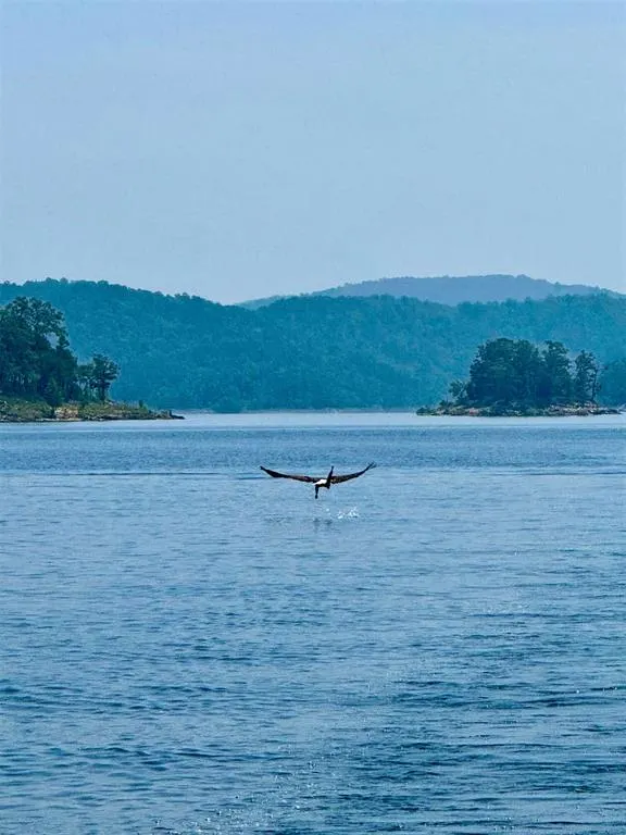 Photo 3 — 214 Top Notch Lane, Broken Bow, OK 74728