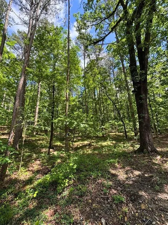 Photo 37 — 146 Moray Drive, Broken Bow, OK 74728